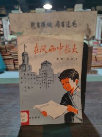 在风雨中长大