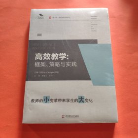 大夏书系·高效教学：框架、策略与实践【全新塑封】