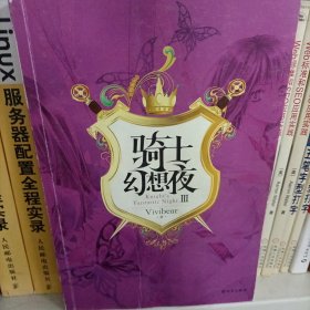 骑士幻想夜