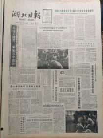 湖北日报1988年3月14日：【反扒能手老人张玉珍的照片；】~（版面齐全，放心购买）。