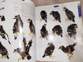 绘画教程：国画禽鸟