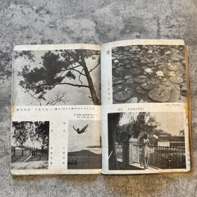 《摄影画报》第十一卷十期，471 号