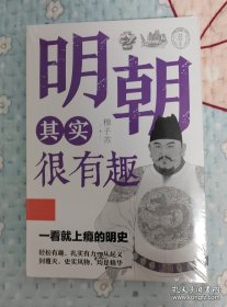 明朝其实很有趣