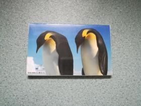 明信片：皇帝企鹅（12枚）