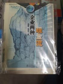 企业两种现金流（小16开A单存另售220128）