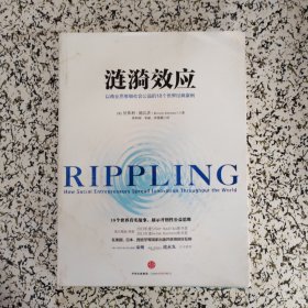 涟漪效应：以商业思维做社会公益的18个世界经典案例