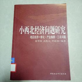 小西北经济问题研究：地区经济一体化产业集群三农问题