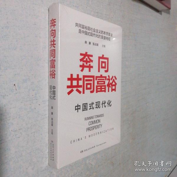 奔向共同富裕（读懂共同富裕，看清未来中国！深入浅出，雅俗共赏，两大TOP级智库联袂巨献，通俗理论重磅大作！）