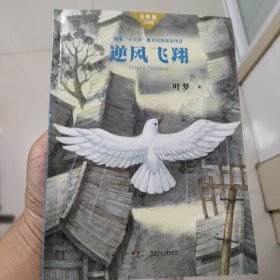 逆风飞翔