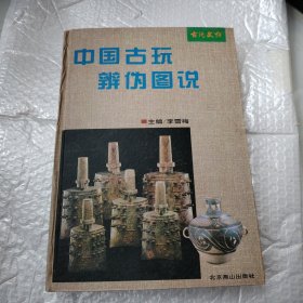 中国古玩辨伪图说