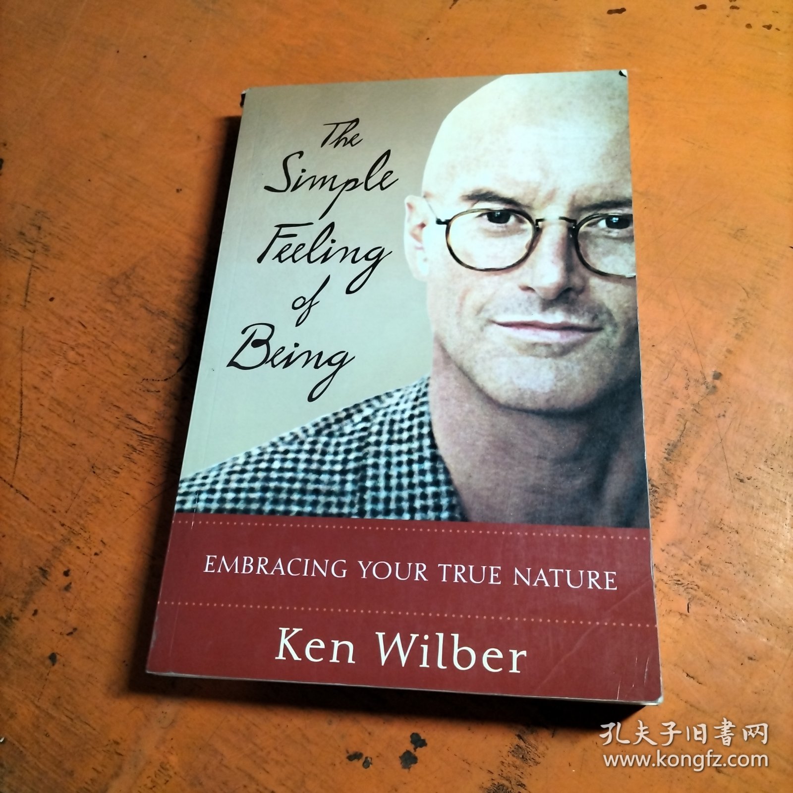 The Simple Feeling of Being: Visionary, Spiritual, and Poetic Writings