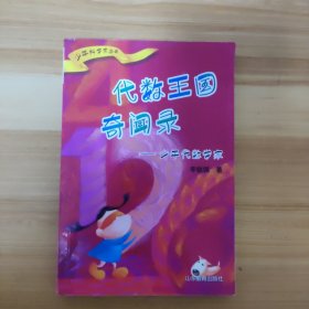 少年科学家丛书·代数王国奇闻录：少年代数学家