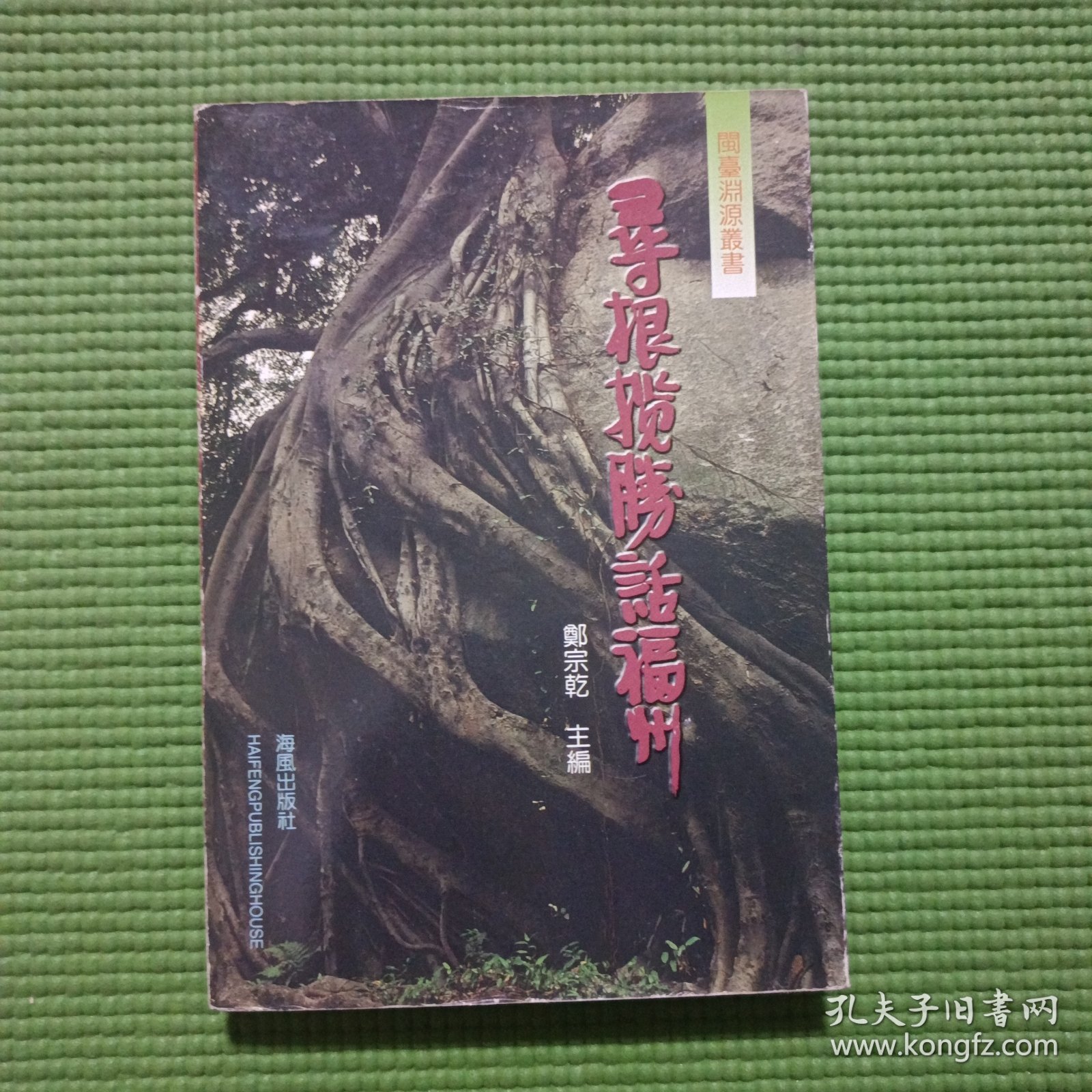 闽台渊源丛书:寻根揽胜话福州