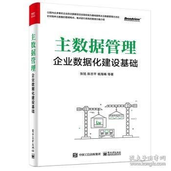 主数据管理：企业数据化建设基础(博文视点出品)（精装版）