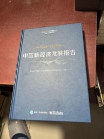 中国新经济发展报告2023—2024