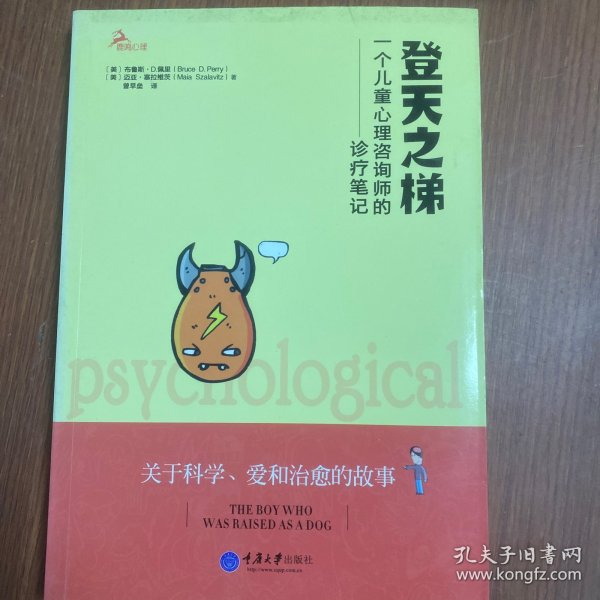 登天之梯：一个儿童心理咨询师的诊疗笔记