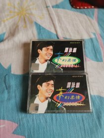 谭咏麟梦幻柔情演唱会精选（上）（下）磁带〈两盘合售〉