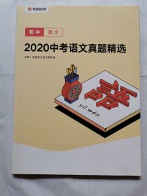 有道精品课：初中语文2020中考语文真题精选