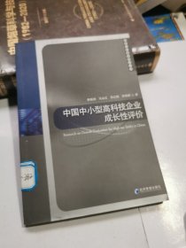 中国中小型高科技企业成长性评价