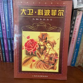 世界文学名著宝库：大卫·科波菲尔（青少版）