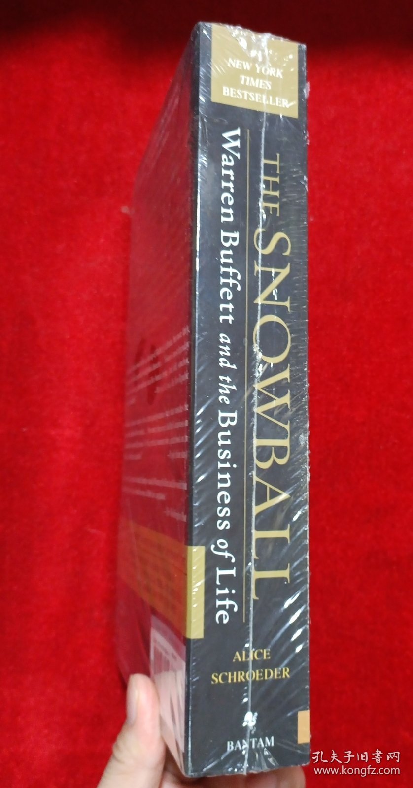 The Snowball: Warren Buffett and the Business of Life 滚雪球：巴菲特和他的财富人生