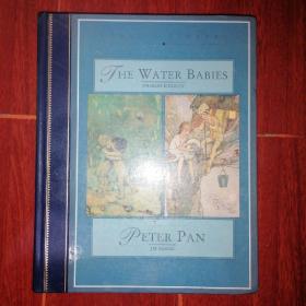 (英文原版书)THE WATER BABIES 中文译名:水孩子 水宝宝 插图本 精装本 1999年版（扉页前言页有字迹 版次及品相看图自鉴免争议）