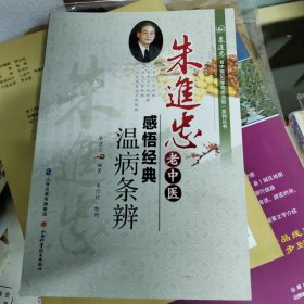 朱进忠老中医50年临床治验系列丛书 朱进忠老中医感悟经典：温病条辨