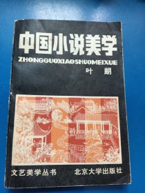 中国小说美学 220131