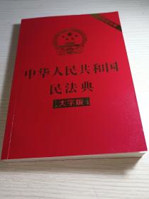 《中华人民共和国民法典》大字版