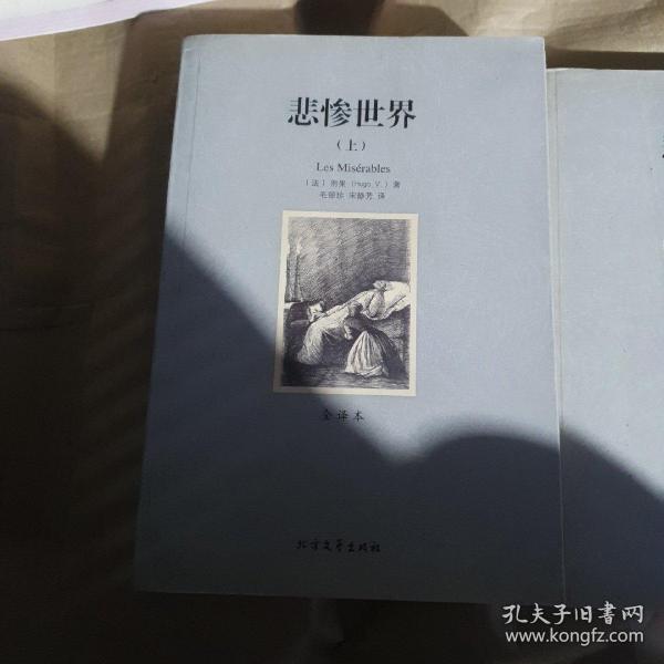 世界文学名著:悲惨世界(全译本)(套装共2册)