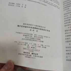 城市更新提升与规划建设丛书：棚户区和城中村改造策略与规划设计方法