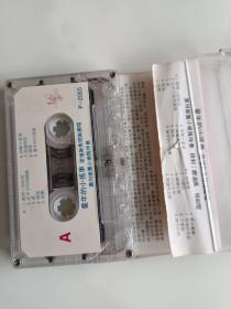 童年的小摇车 程琳 磁带