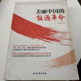 美丽中国的能源革命