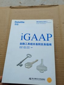 iGAAP金融工具相关准则实务指南