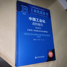 工业化蓝皮书:中国工业化进程报告（2023）以新型工业化推动中国式现代化