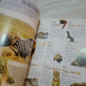 DK儿童百科全书