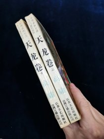 天龙卷（上下全二册）：台湾武侠小说九大门派代表作. 讽世喻世派【高庸著。前有叶洪生先生台湾武侠小说九大门派代表作总编序。】