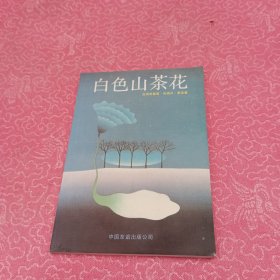 白色山茶花