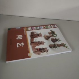 幼儿园美术教育活动资源库：陶艺