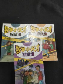 数学小天才探案组：三角的秘密 奇怪的变化 加密的线索（揭秘帕斯卡三角，找寻亿万富翁失踪的“遗产”）3本合售