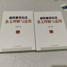 新民事诉讼法条文理解与适用（套装上下册）