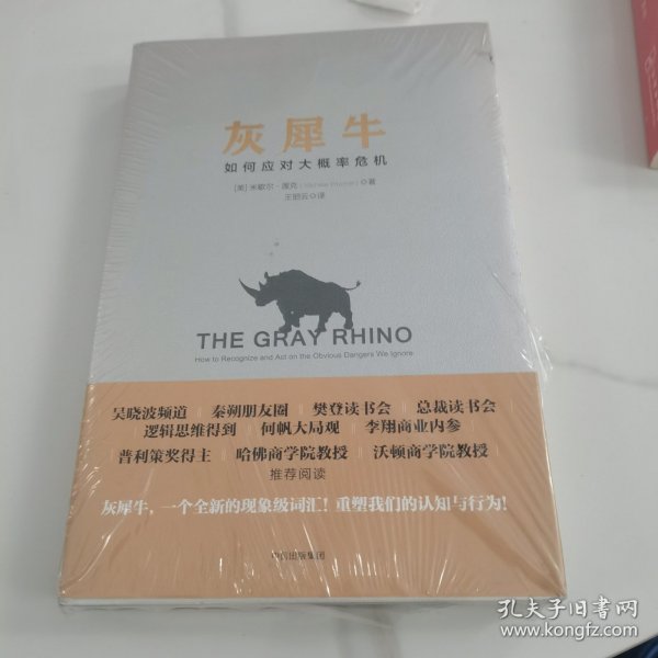 灰犀牛：如何应对大概率危机