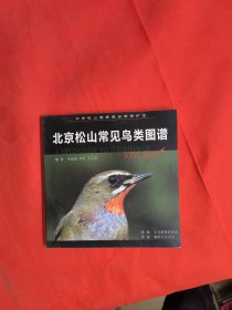 北京松山常见鸟类图谱