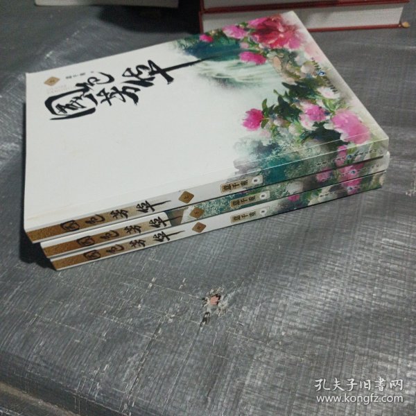 国色芳华 上中下