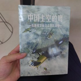 中国上空的鹰 : 苏联援华航空志愿队战史 : 1937—1941