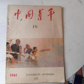 中国青年1961年16