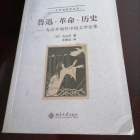 鲁迅·革命·历史：丸山升现代中国文学论集