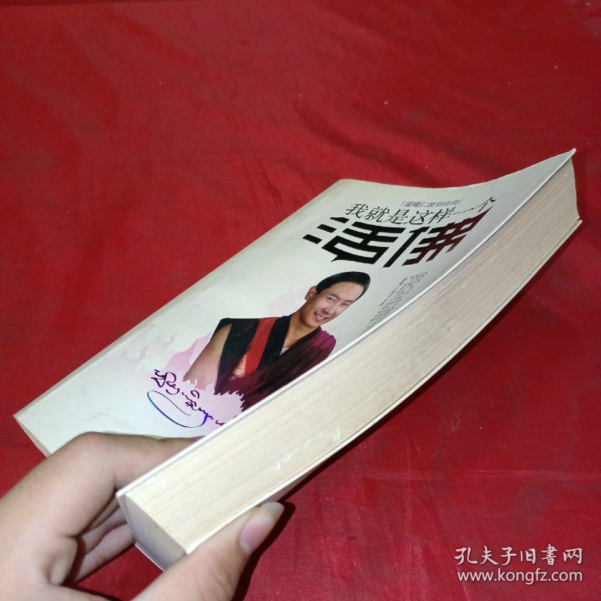 我就是这样一个活佛：盛噶仁波切活佛自传。
