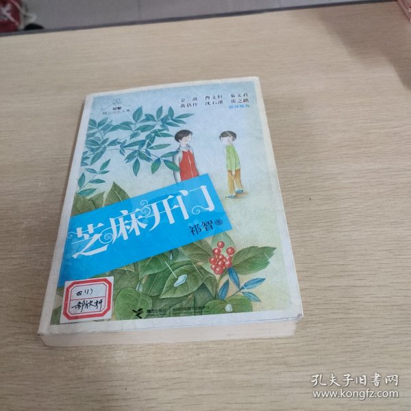 祁智精品成长文集：芝麻开门