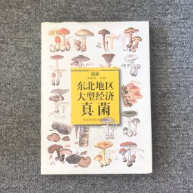 東北地區(qū)大型經(jīng)濟(jì)真菌